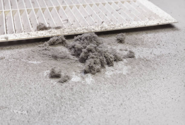 Best Best Air Duct Cleaning Company  in Pembroke, GA