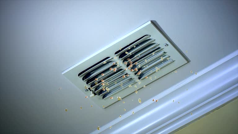 Best Air Duct Mold Removal  in Pembroke, GA